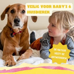 YOKUU Probiotische Wasstrips - 128 Wasbeurten - Wasdraadfrisse Geur - Reis Wasmiddel - Ultra Geconcentreerd en Voorgedoseerd - Ecologisch Wasproduct — thumbnail 4