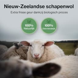 XL Droogballen van 100% Nieuw-Zeelandse Schapenwol — thumbnail 4