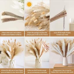 100 stuks decoratie van gedroogd pampasgras, gedroogd pampasgras — thumbnail 4