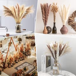 Gedroogde Bloemen, Bruin, Wit Pampasgras Pluizige Bladeren, Lagurus en Zegge Gedroogde Bloemen Boeket Gedroogde Bloemen, Voor Bloemstuk Home Decor — thumbnail 5