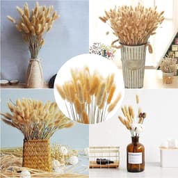Gedroogd pampasgras, konijnenstaart, gras, 30 stuks, natuurlijke droogbloemen, bloemenboeket, decoratie, groot, droogbloemen, pampasgras voor interieurs, fotografie, bruiloft, wit — thumbnail 2