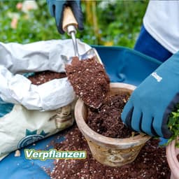 SnelShoppen - RVS Handhave - Roestvrijstalen Handgereedschap voor Tuin, Keuken en Camping - Duurzaam en Stevig - Perfect voor Buiten en Binnen Gebruik — thumbnail 3