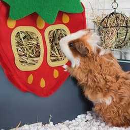 Voederzak voor Hooi en Snacks voor Kleine Dieren - Automatische Dispenser voor Konijnen en Cavia's — thumbnail 4