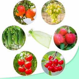 Fruitnetzakken met Trekkoord - Bescherming tegen Wespen, Vogels & Vliegen - 20 stuks - 10x15 cm - Groen — thumbnail 3