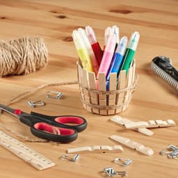 Houten Wasknijpers van Berkenhout - Duurzame en Natuurlijke Wasknijpers (300 stuks) — thumbnail 4