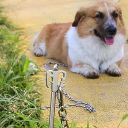 Grondanker Hond - Hondenpen Aanlijnlijn - Buitenactiviteiten Veilig - 360 Graden Draaibaar - 40 cm - Willekeurig — thumbnail 2