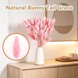 120 stuks gedroogd pampasgras, gedroogd pampasgras, decoratie, gedroogde konijnenbloemen, Boheemse decoratie, geschikt voor thuis, bruiloften, festivals, feesten — thumbnail 4