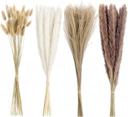100 stuks decoratieve pampasgras, natuurlijk gedroogd pampasgrasdecoraties — thumbnail 4