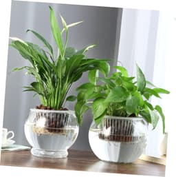 1set Glazen Bloemenvase Voor Hydroponische Planten Elegante Bloemhouder Plant Pot Voor Thuis Kantoor Decoratie Creatief Functioneel Ontwerp Voor Bloemenwinkels Bijzondere — thumbnail 3