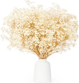 Gedroogde bloemen, meer dan 3500 ivoorwitte bloemen, natuurlijke gypsophila takken voor doe-het-zelf krans, huis, bruiloft, tafel, vaas — thumbnail 1