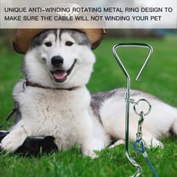 QPFO® Hondenketting met spiraal stake – RVS kabel 3m 5m 10m – 360 graden draaibaar – Voor tuin camping en buitengebruik — thumbnail 2