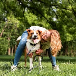 Robuuste grondanker voor honden met 3 meter oproeplijn, roestvrij en ideaal voor grote honden en trampolines — thumbnail 4