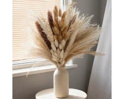 62 stuks witte pampasdecoratie
