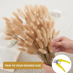 Pampasgras, 60 stuks, boho-plant, natuurlijke gedroogde bloemen, decoratieve pampa's voor wooncultuur, tafel, bruiloft (primaire kleur) — thumbnail 5