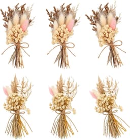 Gedroogde bloemen, boho-gedroogde bloemen — thumbnail 1