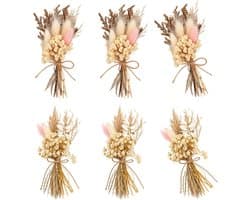 Gedroogde bloemen, boho-gedroogde bloemen