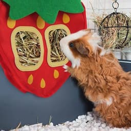 Hooi- en snackvoederzak voor kleine dieren - Automatische dispenser voor konijnen en cavia's — thumbnail 2