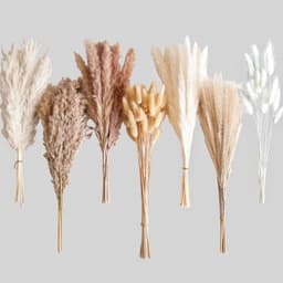 125 stuks gedroogd pampasgrasboeket, boho-tafeldecoratie, konijnenstaarten gedroogde bloemen, bruin pampas, wit pampasgras voor bruiloften, thuisdecoratie, rustieke feesten en babyshowerdecoraties — thumbnail 5