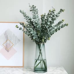 Gedroogde eucalyptusbundel, 45,7 cm, natuurlijke groene eucalyptusplant, echte eucalyptusstengels, eucalyptustakken, douche, eucalyptus, hangende geconserveerde eucalyptus voor bloemstuk — thumbnail 2