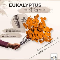 Black Week Birkental eucalyptus - extra duurzame en 65-70 cm lange droogbloemen decoratie - gedroogde eucalyptus - gedroogde bloemen, vaas droogbloemen boeket, boho decoratie (oranje) — thumbnail 4