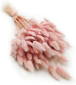 Dekogras, gedroogd gras, siergras, hazenstaarten, lagurus, ovatus, fluweelgras, haasstaartgras, droogbloemen, natuurlijk boho, 120 - 150 stuks, 100 g, parelroze — thumbnail 2