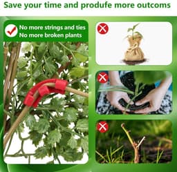 Dailygoods- Groeiklemmen - 100 Stuks - Instelbare Planksteun - Ondersteuning Plantenschors - Verbeterde Luchtcirculatie - Herbruikbaar - Duurzaam - Plantsteun — thumbnail 3