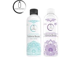 Wasparfum Hintenso Violet Edition Lavendel 500ml + Wasparfum Hintenso Turquoise Magic Edition 500ml - Proefpakket - 140 wasbeurten - Inclusief 1 gratis tester - Frisse was – Textielverfrisser – Wasverzachter – Lavendel – Wasparfum - Wasmachine