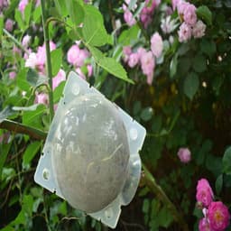 Zfdg 4 stuks plantenwortels, propagatietabal, plantenwortelkweekbox, plantenwortels, groeibox, voor hogedruk-gepropplant-wortelbeheersing van de plantenvermeerdering, zwart — thumbnail 4