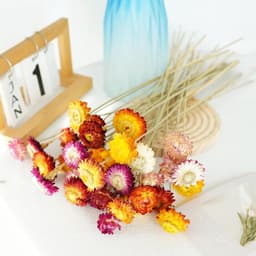 Gedroogde bloemen, droogbloemen, decoratie — thumbnail 3