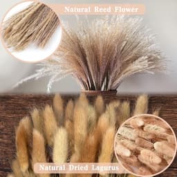 Gedroogde Bloemen, Bruin, Wit Pampasgras Pluizige Bladeren, Lagurus en Zegge Gedroogde Bloemen Boeket Gedroogde Bloemen, Voor Bloemstuk Home Decor — thumbnail 4