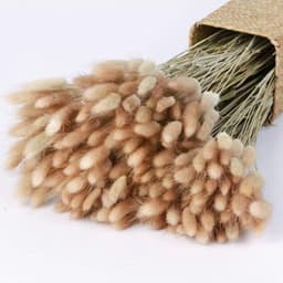 Pampasgras, 60 stuks, boho-plant, natuurlijke gedroogde bloemen, decoratieve pampa's voor wooncultuur, tafel, bruiloft (primaire kleur) — thumbnail 3