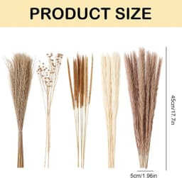 75 stuks pampasbloemen, decoratief, natuurlijk, boho-boeket, gedroogde — thumbnail 2