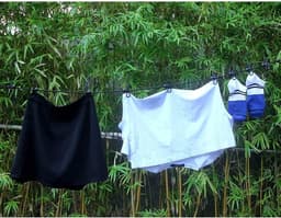 Portable Clothesline with 12 Clothespins, Windproof Travel Clothesline Stretchy Elastic Portable Clothes Lines Inside - ShopVlot — thumbnail 2