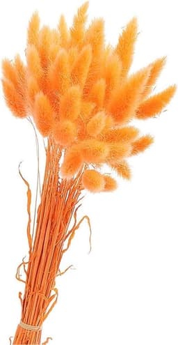 Gedroogd pampasgras, konijnenstaart, gras, 60 stuks, natuurlijke droogbloemen, boeket, decoratie, kunst, groot, droogbloemen, pampasgras voor interieurdecoratie, fotografie, bruiloft, oranje — thumbnail 5