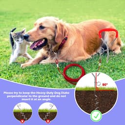 40 cm spiraalanker met 5 mm x 3 m stalen kabel grondanker om in te schroeven, 80 kg trekkracht, voor puppy's, huisdieren en middelgrote honden, camping, hond, accessoires voor tuin, weide, reizen — thumbnail 4