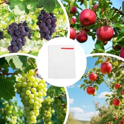 Fruitzakken met trekkoord - Beschermzakken - Oogst beschermen - Ademend vliesmateriaal - 100 stuks - Wit — thumbnail 3
