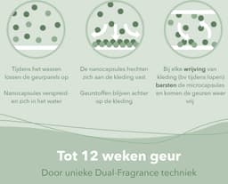 Cosmeau Geurbooster 50 Wasbeurten Wild forest 250 gr — thumbnail 2