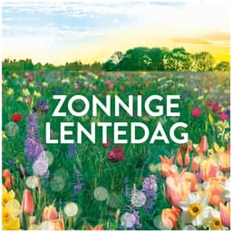 Lenor Wasverzachter Fresh Air Zonnige lentedag 50 Wasbeurten - 700 ml — thumbnail 3