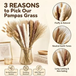 100 stuks decoratieve pampasgras, natuurlijk gedroogd pampasgrasdecoraties — thumbnail 5