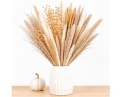 75 stuks pampasbloemen, decoratief, natuurlijk, boho-boeket, gedroogde