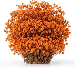 Gedroogde oranje gypsophila, voor woon- en trouwdecoratie — thumbnail 1