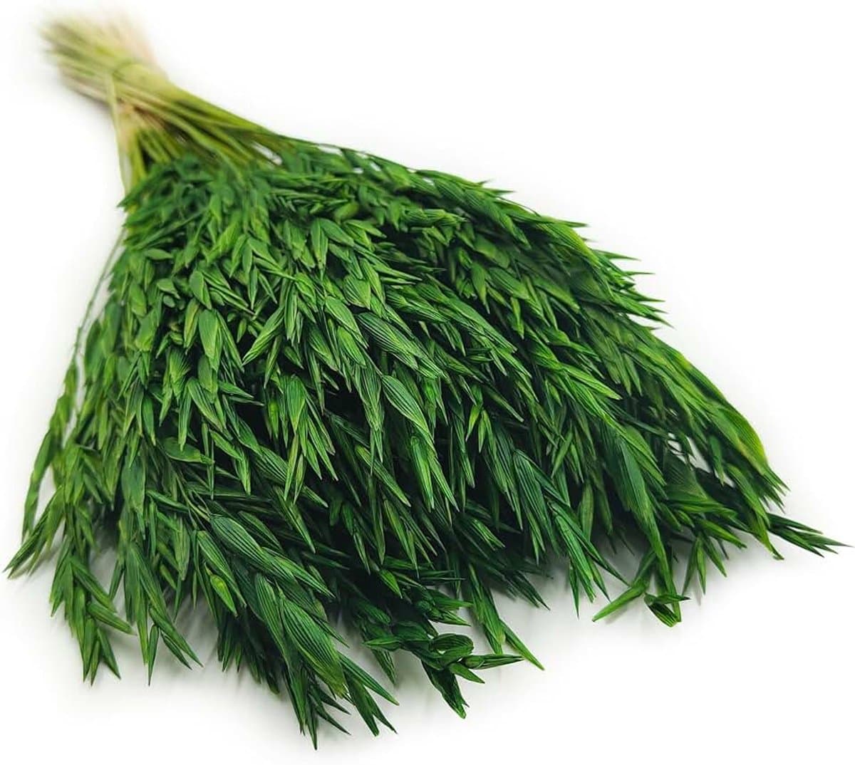 Dekogras haver gedroogd gras siergras natuurlijke decoratie flessengroen — afbeelding 1