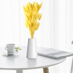 Gedroogd pampasgras, konijnenstaart, gras, 60 stuks, natuurlijke droogbloemen, boeket, decoratie, kunst, groot, droogbloemen, pampasgras voor interieur, fotografie, bruiloft, geel — thumbnail 2