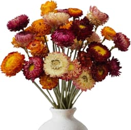 Gedroogde bloemen, droogbloemen, decoratie — thumbnail 1