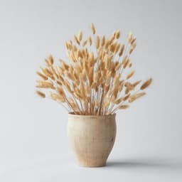 Pampasgras, 60 stuks, boho-plant, natuurlijke gedroogde bloemen, decoratieve pampa's voor wooncultuur, tafel, bruiloft (primaire kleur) — thumbnail 2