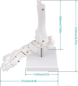 Uittrekbare Waslijn - Nylon - Antislip en Winddicht - Lichtgewicht en Compact - Voor Buitengebruik — thumbnail 3