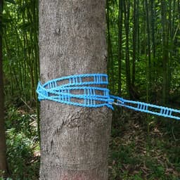 1 stuk - Wasdraad - 5M - Draagbare kampeer waslijn - Elastische waslijn - Kampeeraccessoires - Reiswaslijn voor buiten en binnen - Winddichte hanger voor buiten kamperen - Blauw — thumbnail 2