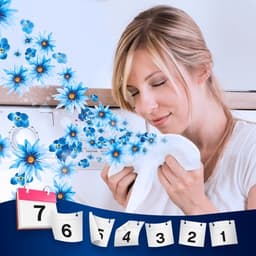 Lenor - Wasmiddel - Vloeibaar Wasmiddel - April Fresh - 60wb/3,3L — thumbnail 5