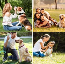 Robuuste grondanker voor honden, geschikt voor grote en middelgrote honden, inclusief 3 m terugroeplijn, roestvrij en veilig voor gebruik met trampolines — thumbnail 5