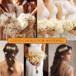 Gedroogde bloemen, meer dan 3500 ivoorwitte bloemen, natuurlijke gypsophila takken voor doe-het-zelf krans, huis, bruiloft, tafel, vaas — thumbnail 3